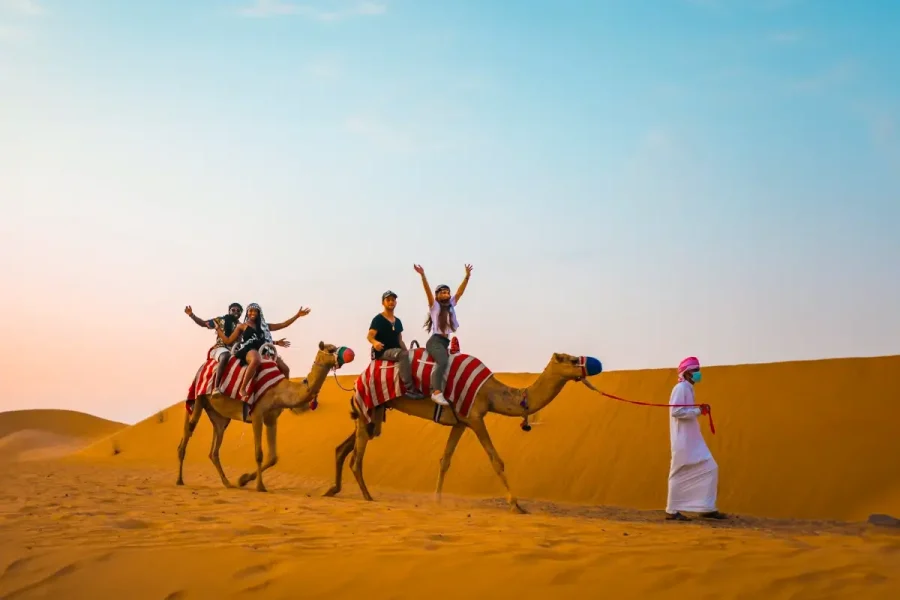 Desert Safari