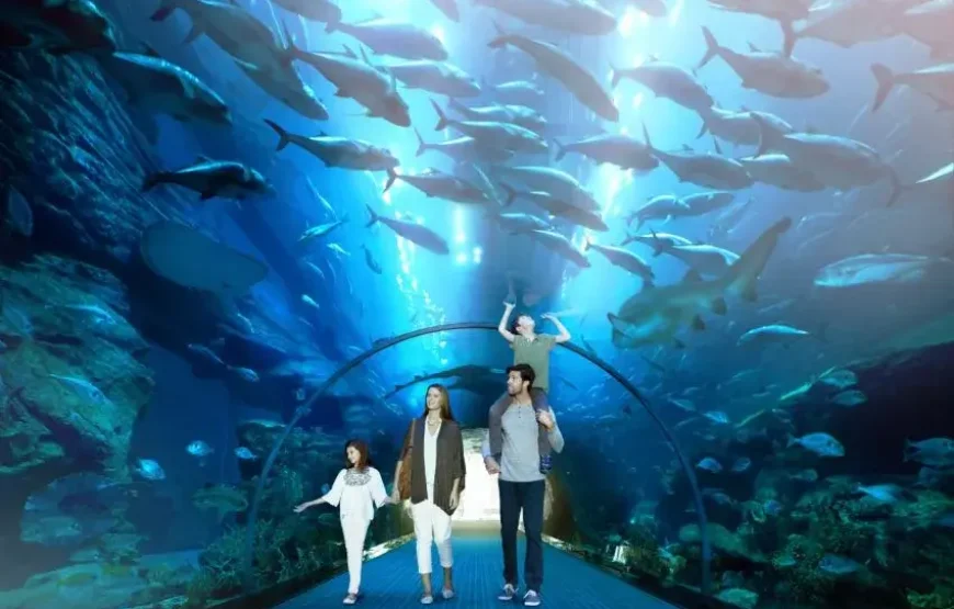 Dubai Aquarium and Underwater Zoo