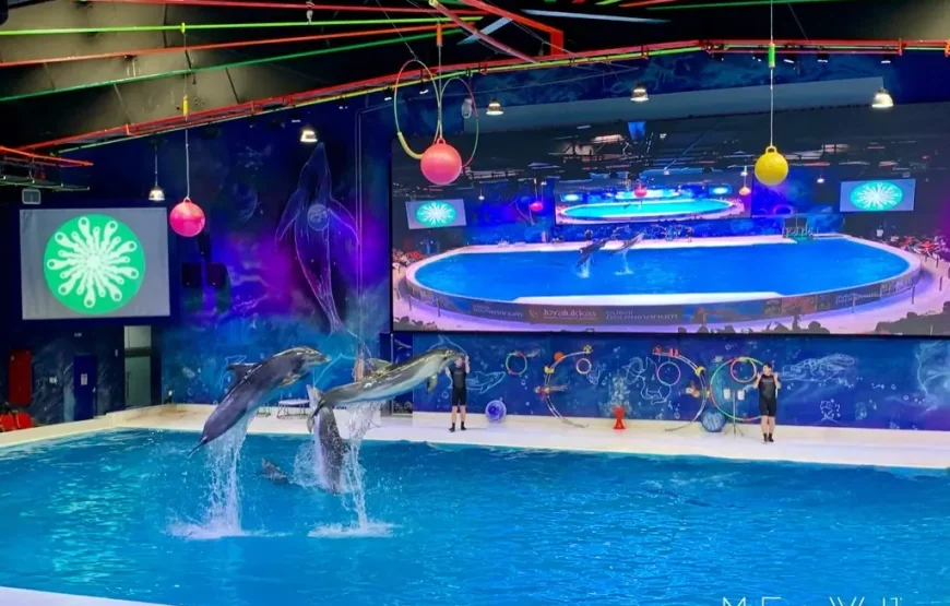 Dubai Dolphinarium