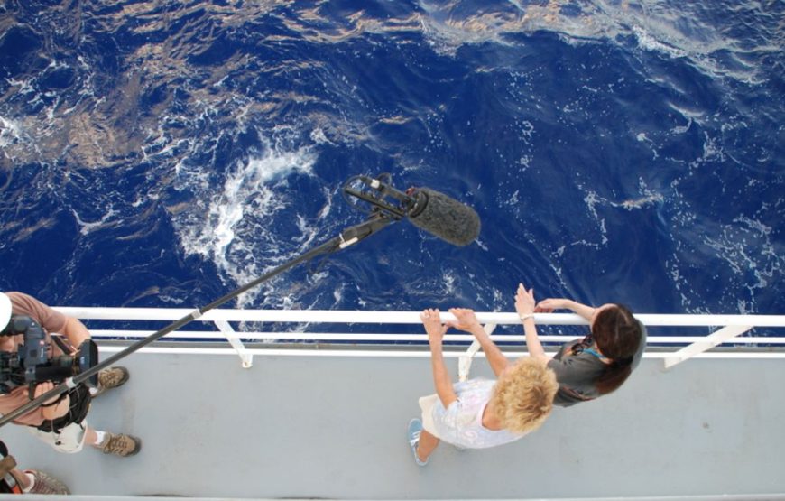 Deep Sea Cruising