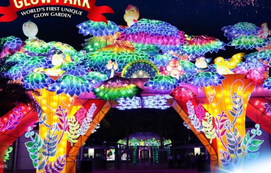 Glow Garden