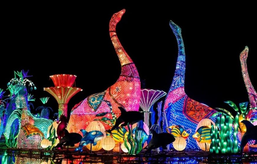 Glow Garden