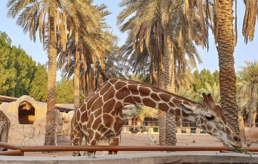 Emirates Park Zoo