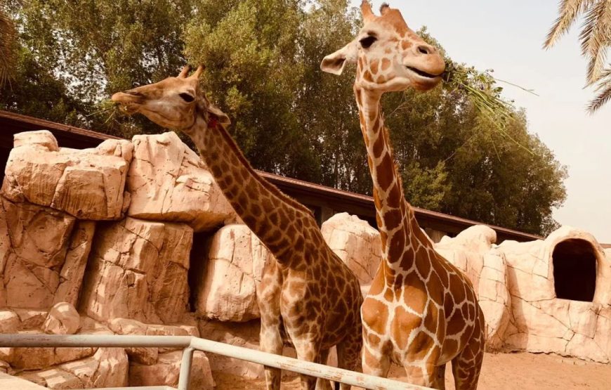 Emirates Park Zoo