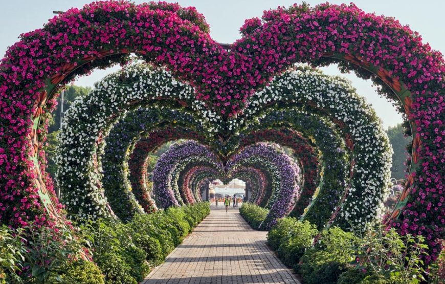 Miracle Garden Dubai