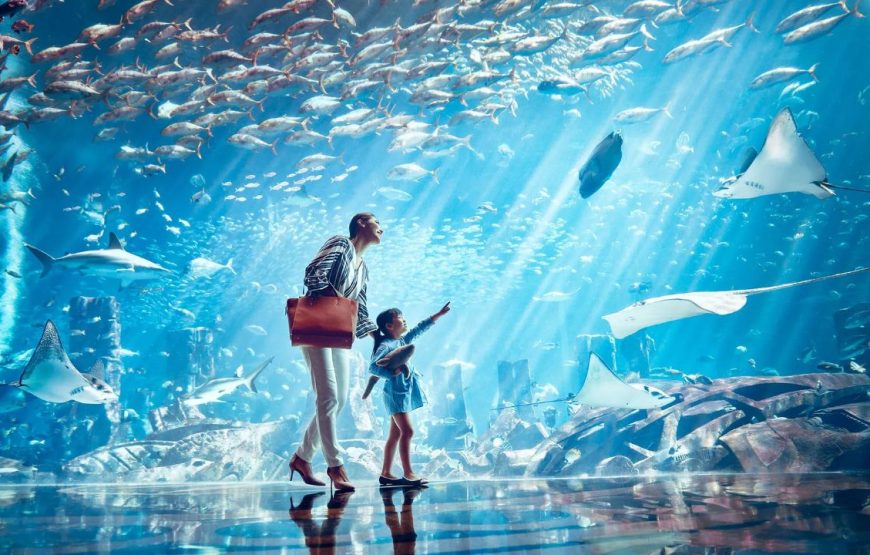 The Lost Chambers Aquarium Tickets