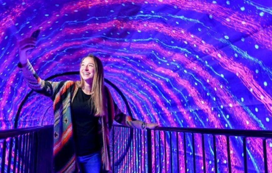 Museum Of Illusions