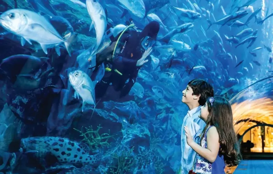 Dubai Aquarium and Underwater Zoo