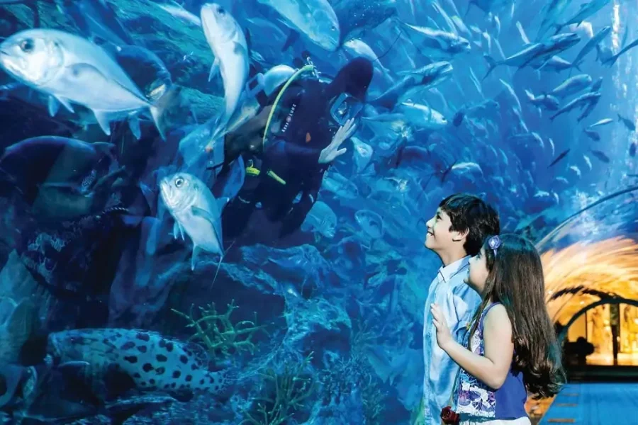 Dubai Aquarium and Underwater Zoo